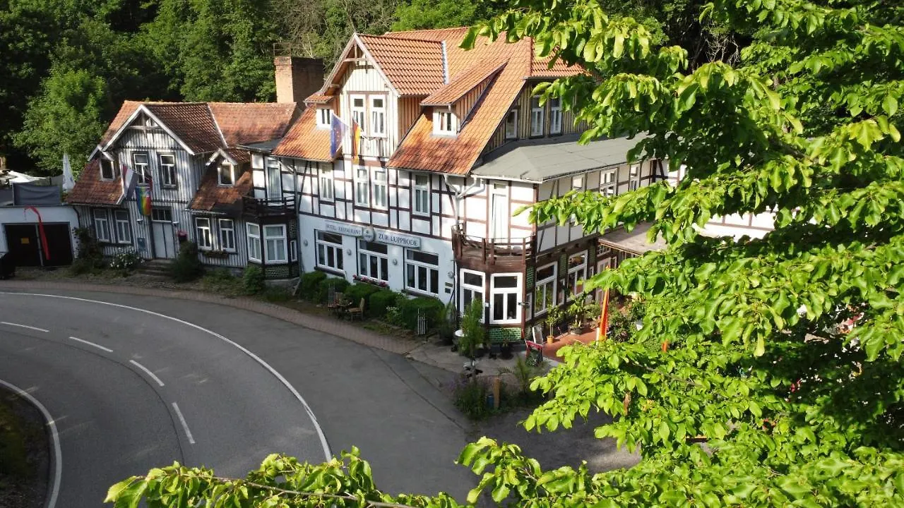 6 zentrale Hotels nahe Roßtrappe, die überzeugen